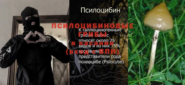 mix Горняк