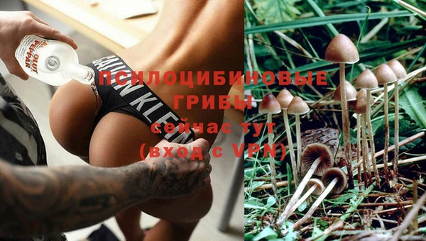 спиды Горно-Алтайск
